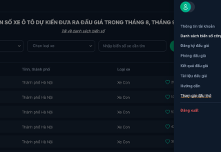 Web đấu giá thử biển số ô tô liên tục bị 'sập phòng', chủ xe lo mất tiền cọc