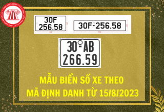 Biển số định danh là gì, một người được sở hữu bao nhiêu biển định danh?